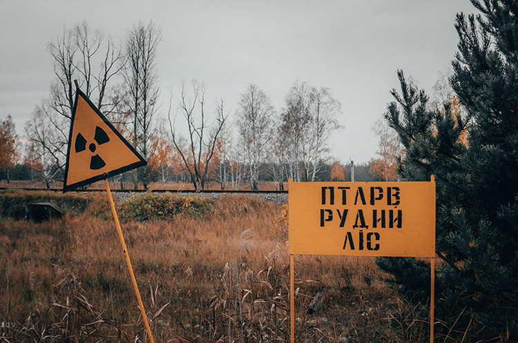 Військові рф у Чорнобилі справді рили собі окопи у Рудому лісі