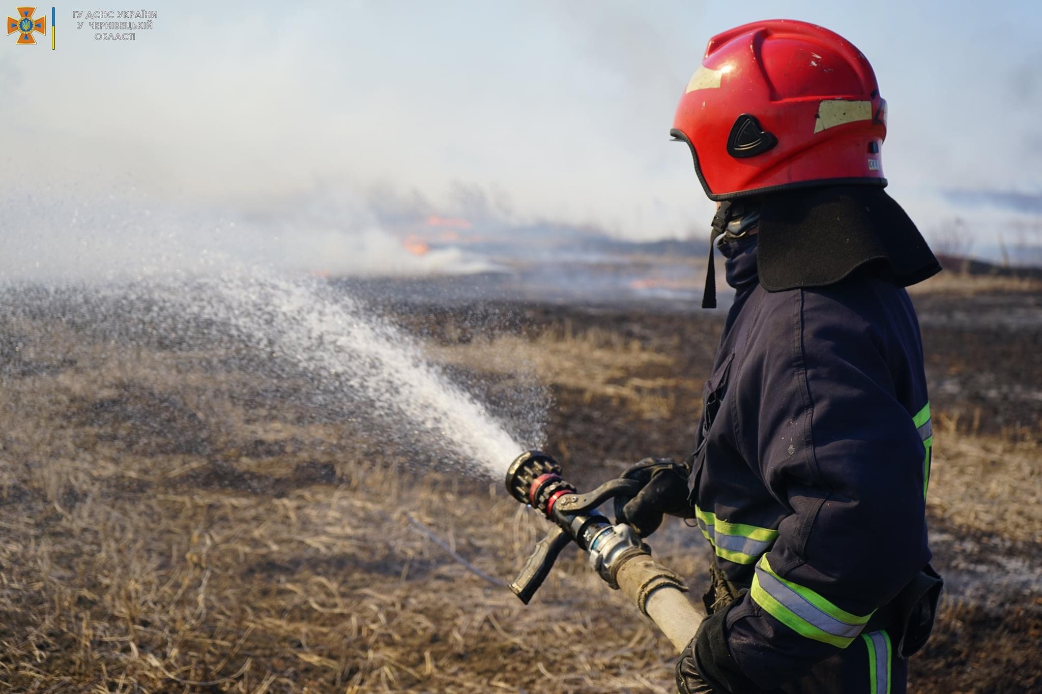 Палили суху траву: у Чернівцях на вулиці Коломийській гасили пожежу