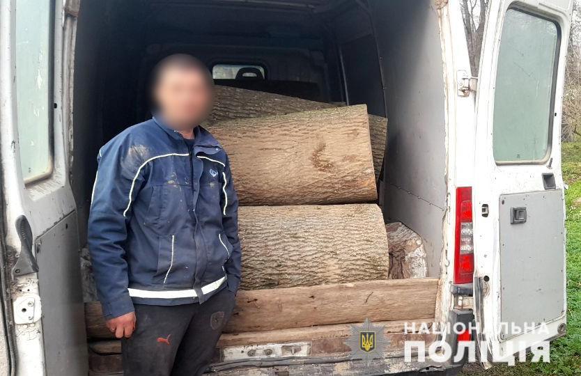 Викрав деревину з лісництва: на Буковині судитимуть 33-річного чоловіка