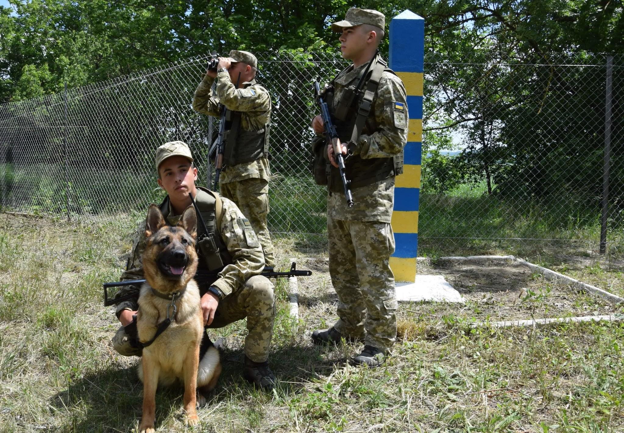 Намагалися незаконно перетнути кордон:  собака допоміг прикордонникам  виявити групу ухилянтів