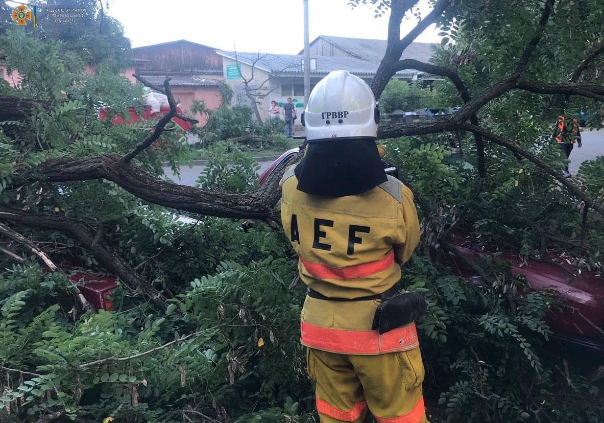 Знадобилась допомога рятувальників: у Чернівцях на припарковані авто впало дерево