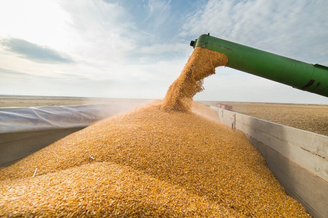 Нададуть технологію для перевірки: Британія допоможе протидіяти продажу вкраденого в Україні зерна
