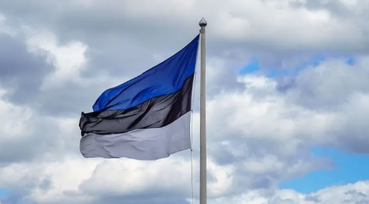 Естонія передасть Україні пакет військової допомоги
