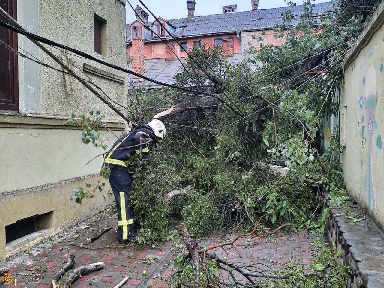 Викликали рятувальників: у Чернівцях через негоду дерево впало на лінії електропередач