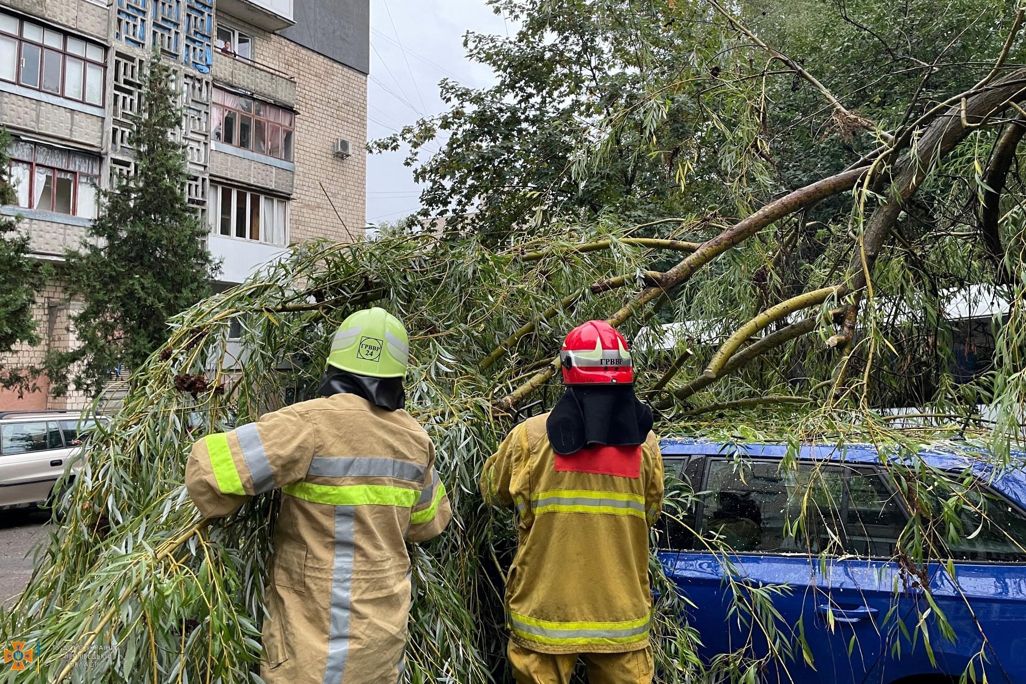 Викликали рятувальників: у Чернівцях на припарковане авто впало дерево