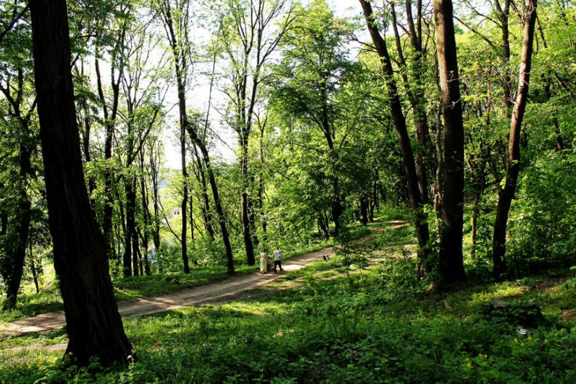 Кращий проєкт благоустрою парку Шіллера: у Чернівцях оголосили бліцконкурс