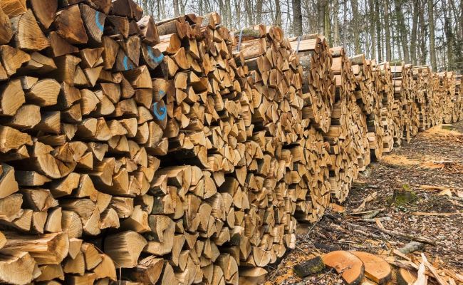 Жителів прилеглих до зон проведення бойових дій, влада забезпечить безоплатною деревиною для обігріву