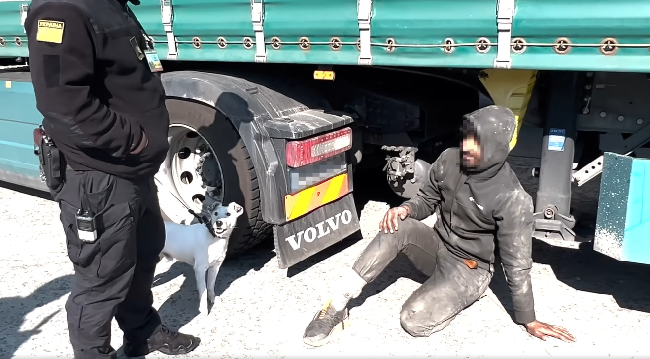 П’ять днів “подорожував” під дном вантажівки: прикордонний пес виявив нелегала