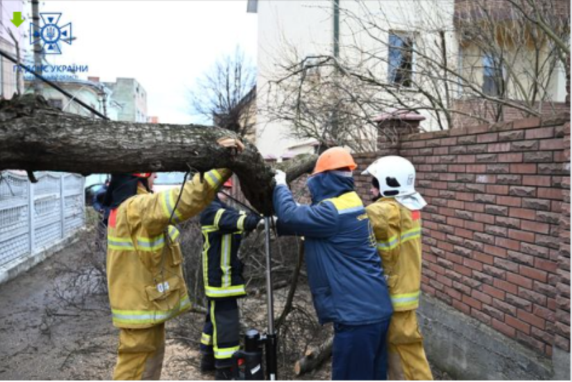 Допомагали прибирати повалені дерева: У Чернівцях рятувальники ліквідували наслідки негоди