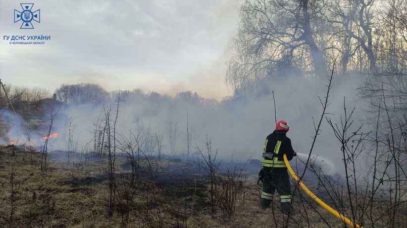 Горіли суха трава: упродовж вихідних рятувальники ліквідували 11 пожеж на відкритій місцевості