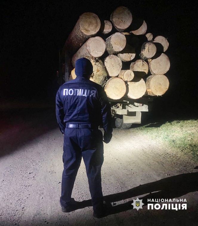 Незаконно перевозили деревину: правоохоронці викрили двох водіїв