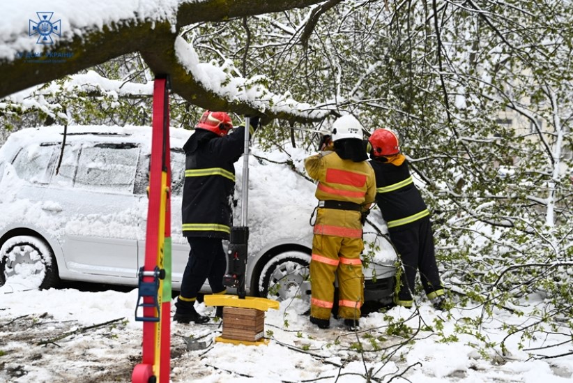 У Чернівцях через негоду рятувальники двічі виїжджали прибрати повалені дерева