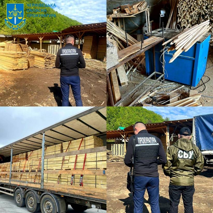 На Буковині перекрили канал контрабанди деревини до ЄС