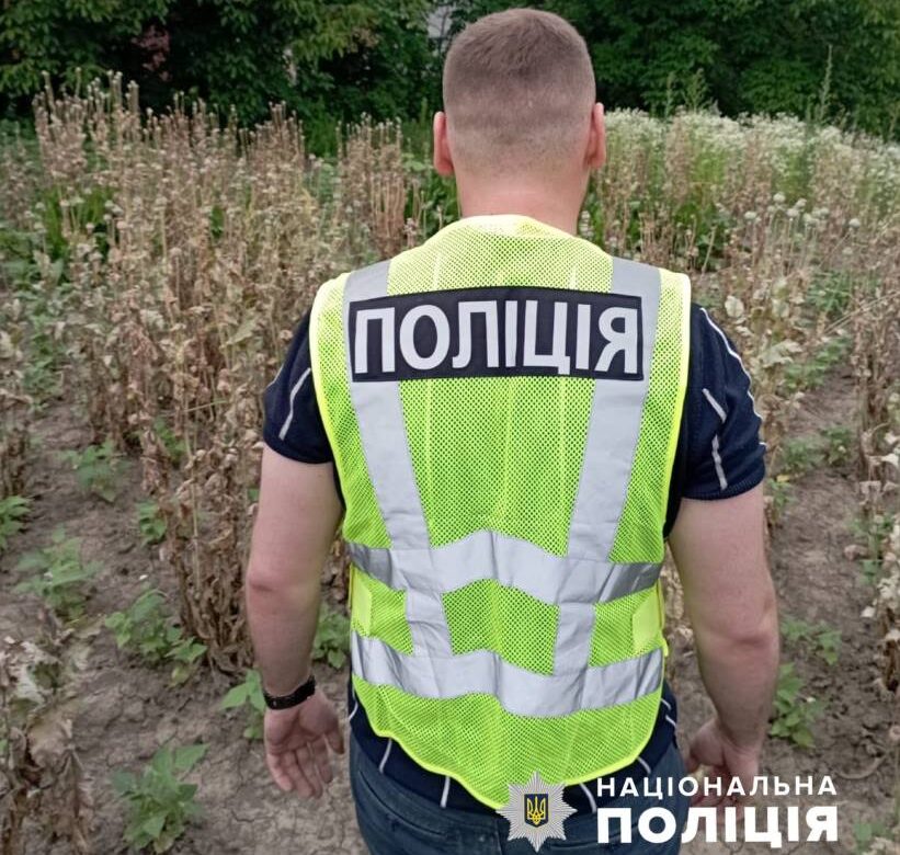 Поліціянти Буковини задокументували три факти незаконного вирощування нарковмісних рослин