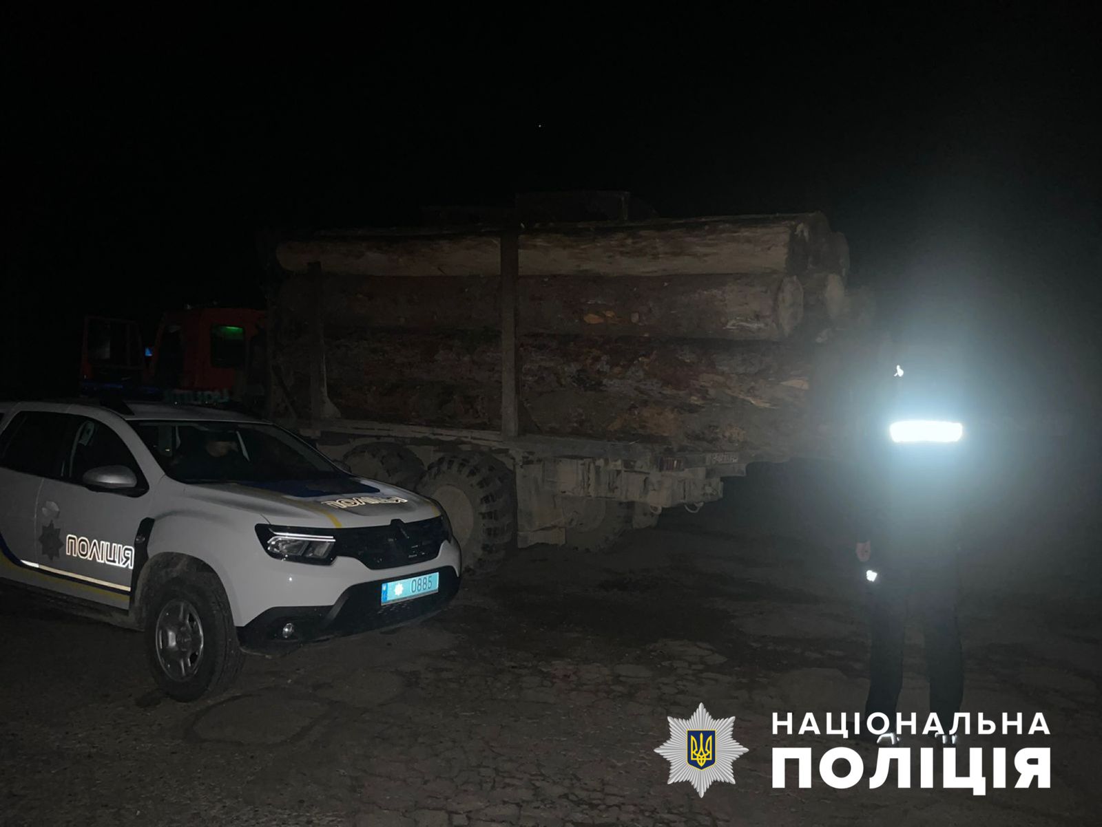 У Вижницькому районі поліцейські задокументували незаконне перевезення деревини