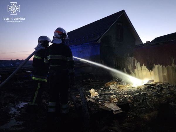 Горіла будівля з гаражем: на Буковині виникло 5 пожеж
