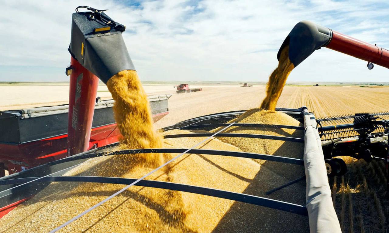Україна та Польща домовилися знайти рішення щодо експорту зерна