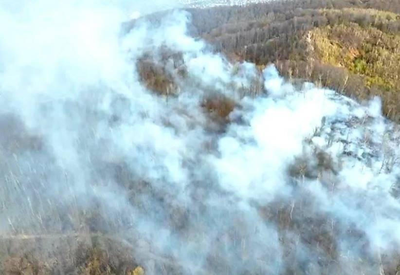 Прокуратура розпочала розслідування через пожежу у національному парку «Вижницький»