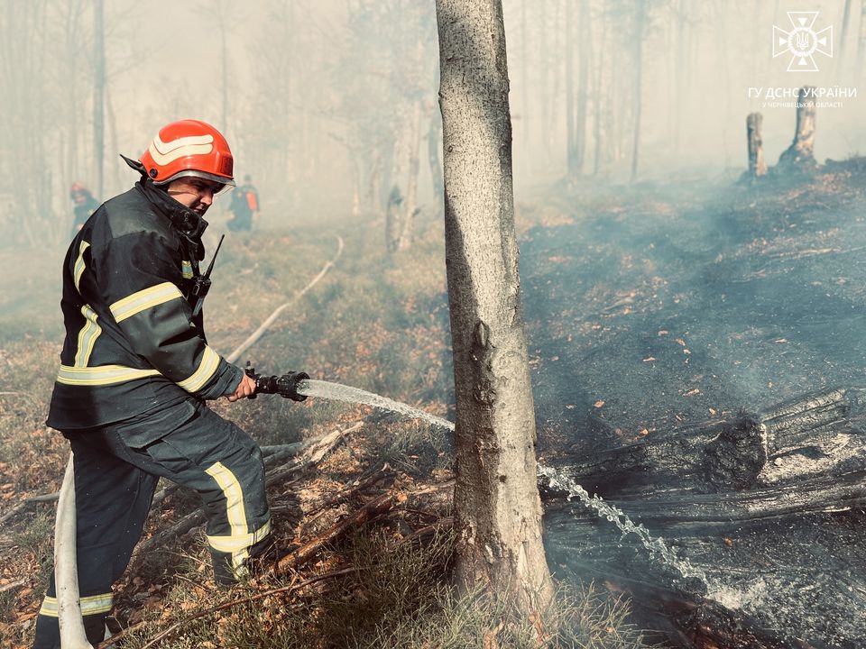 Пожежу на території національного природного парку “Вижницький” ліквідовано