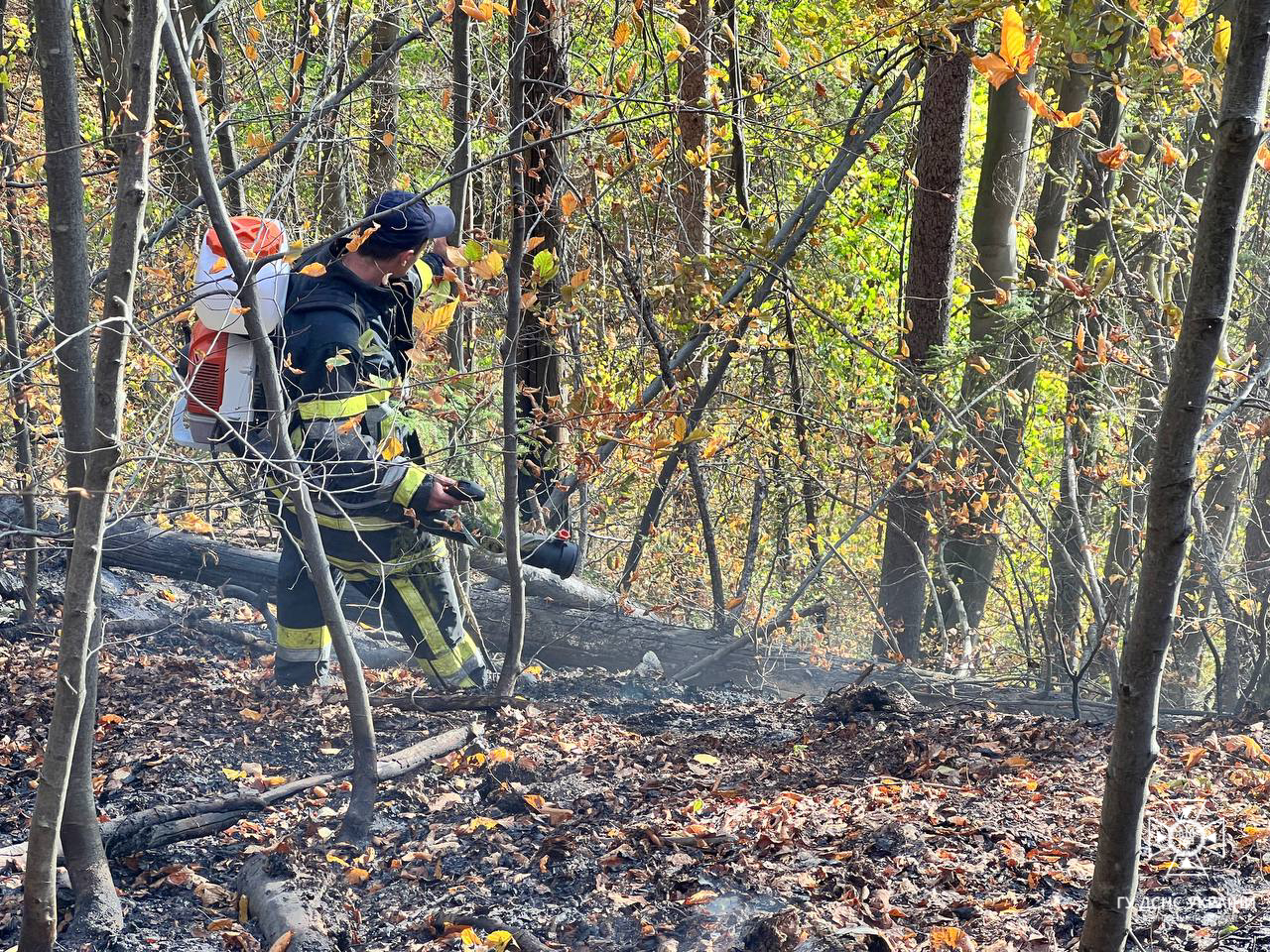 Пожежники гасять пожежу на території національного природного парку Вижницький