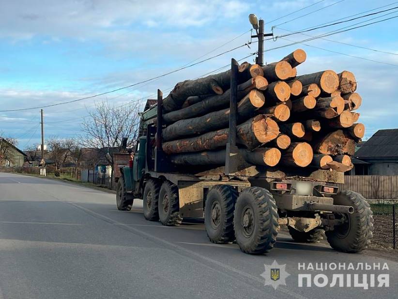 На Буковині поліціянти викрили чоловіка за перевезення деревини без документів
