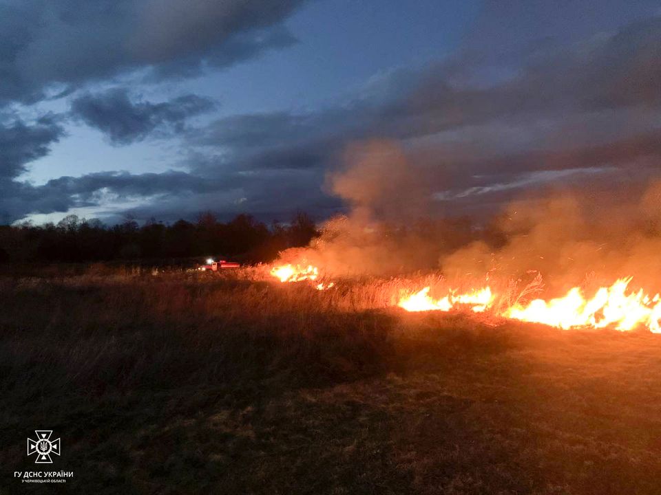 Горіли суха трава та господарське приміщення: на Буковині сталися 4 пожежі