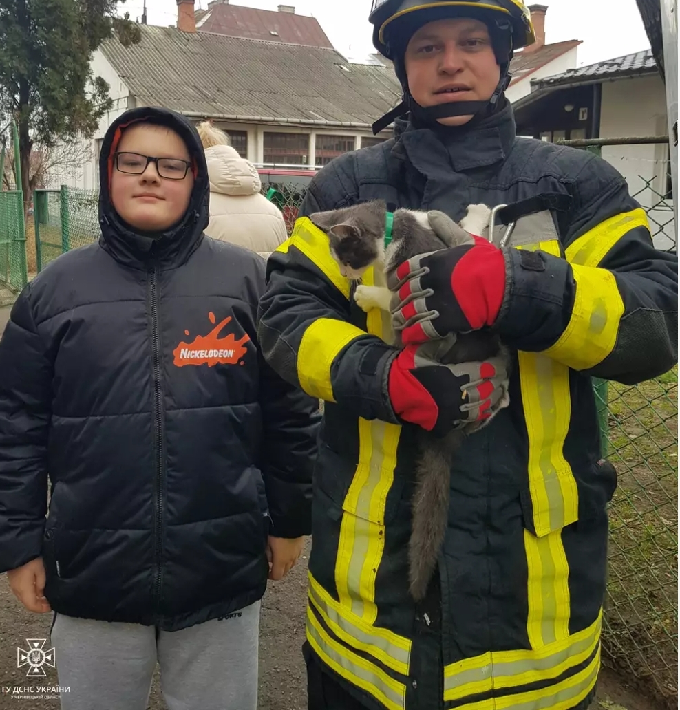 У Чернівцях рятувальники дістали з дерева кота