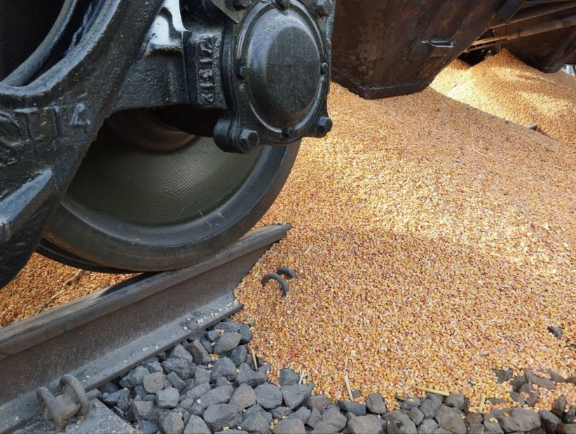 Польські фермери перекривали залізницю біля кордону і висипали українське зерно з вагона