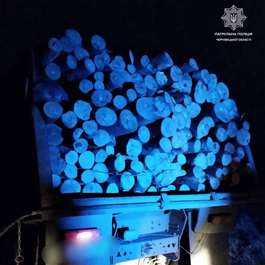Патрульні поліцейські Буковини виявили водія, який перевозив деревину без відповідних документів