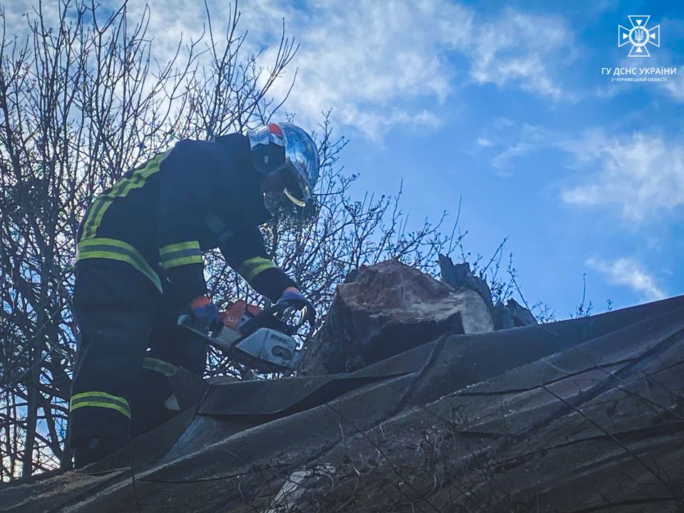 На Буковині рятувальники прибрали дерево, яке впало на будинки