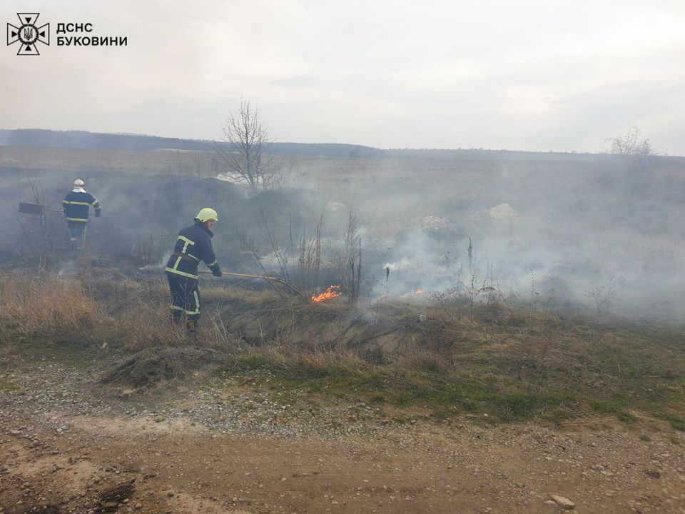 На Буковині почастішали випадки загорання сухої трави