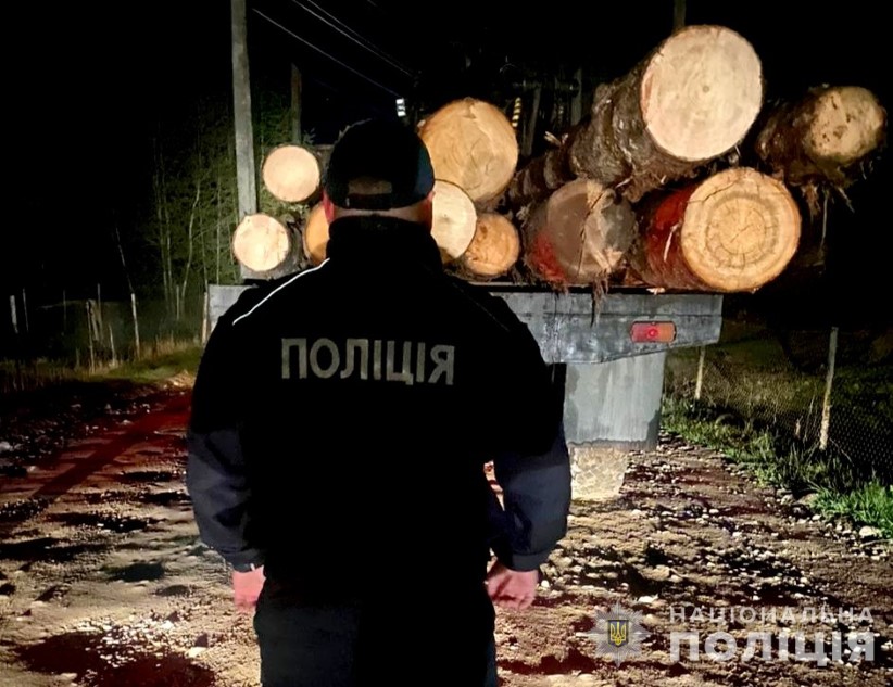 У Путилі поліціянти задокументували факт незаконного перевезення деревини