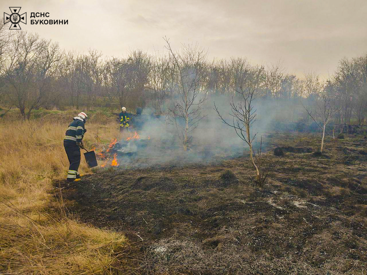 За минулу добу на Буковині ліквідували 16 пожеж