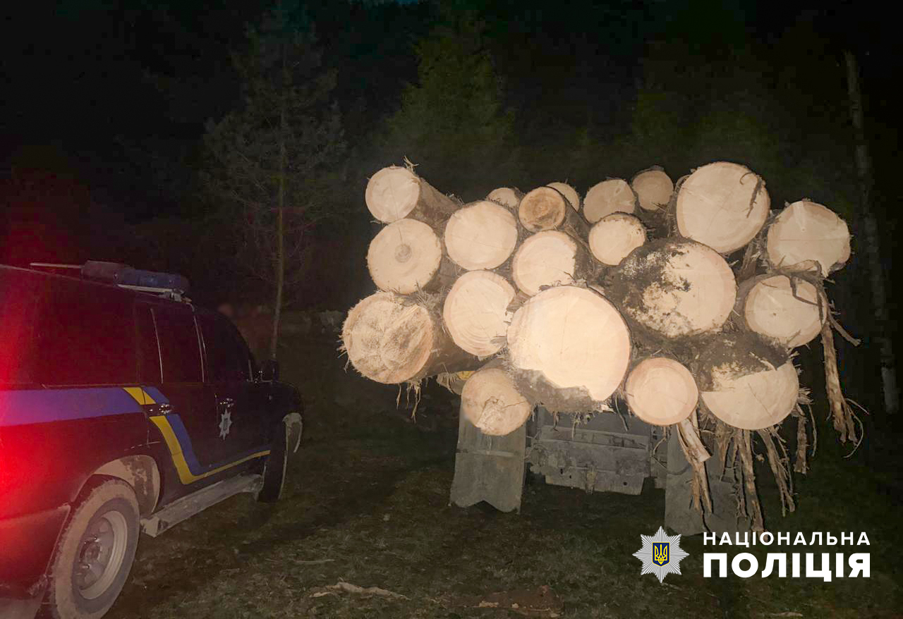 На Буковині поліцейські встановили чоловіка, який залишив вантажівку із немаркованою лісодеревиною