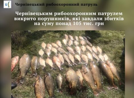 Чернівецьким рибоохоронним патрулем викрито порушників, які завдали збитків на суму понад 105 тис. грн