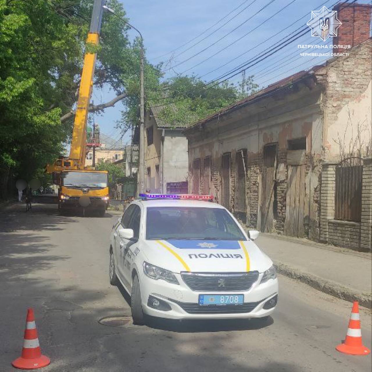 На вулиці Севастопольській впало дерево: перекрито рух вулицею