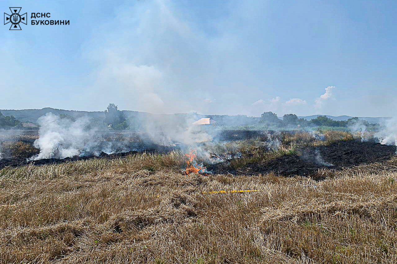 За минулу добу на території Чернівецької області сталося 4 пожежі сухої рослинності