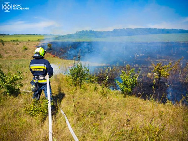 За минулу добу на Буковині рятувальники ліквідували 3 пожежі