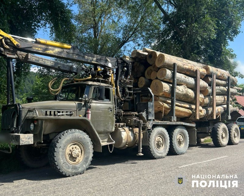 На Вижниччині поліціянти задокументували факт незаконного перевезення деревини