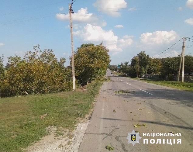 Поліцейські Буковини затримали нетверезого чоловіка, який вчинив ДТП та чинив опір правоохоронцям