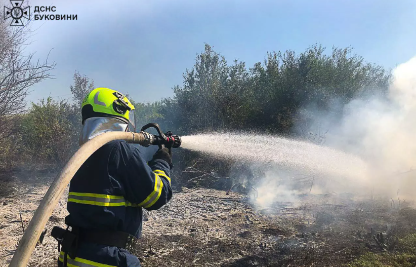 У Чернівецькій області надзвичайники ліквідували 7 пожеж на відкритій території