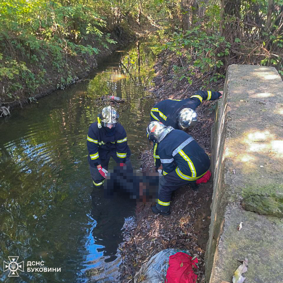 У Чернівцях рятувальники врятували чоловіка, що був у воді