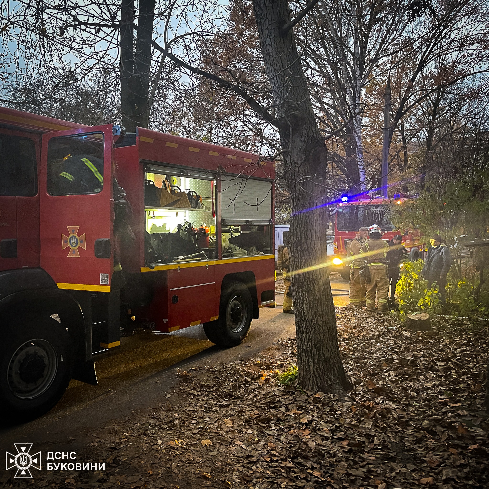 На Буковині за минулу добу ліквідували 4 пожежі