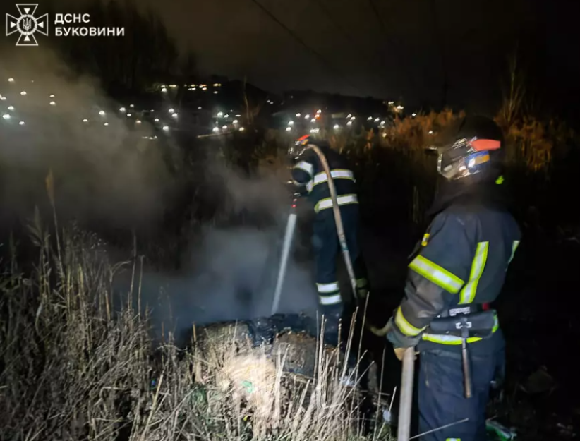 У Чернівцях вогнеборці ліквідували пожежу на відкритій території