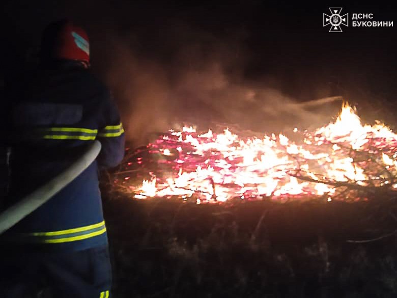 Рятувальники ліквідували дві пожежі на відкритій території у Чернівецькій області