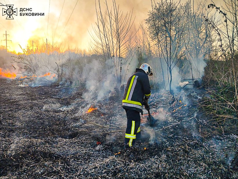На Буковині за добу ліквідовано дві пожежі на відкритій території