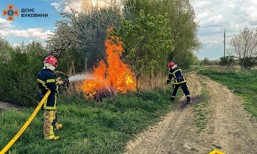 У Чернівецькій області вогнеборці ліквідували три пожежі на відкритій території