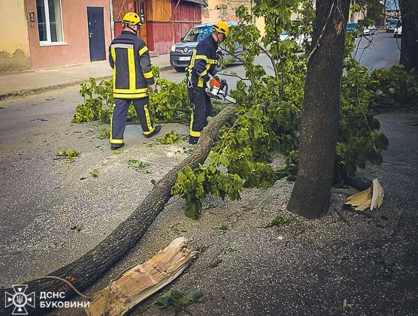 У Чернівцях рятувальники прибрали повалене дерево