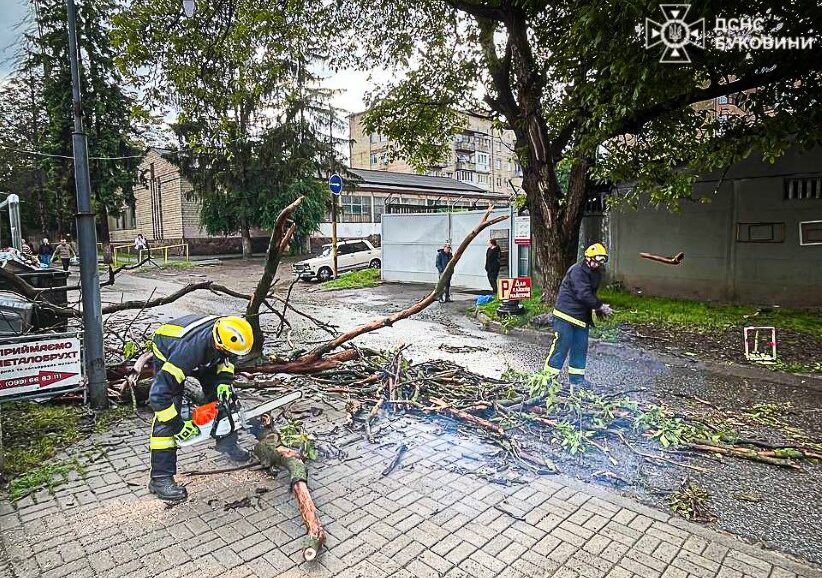 У ДСНС розповіли, як допомагали буковинцям після негоди 22 травня