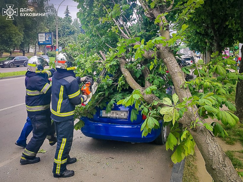 У Чернівцях рятувальники прибрали повалене дерево з автівки та проїжджої частини